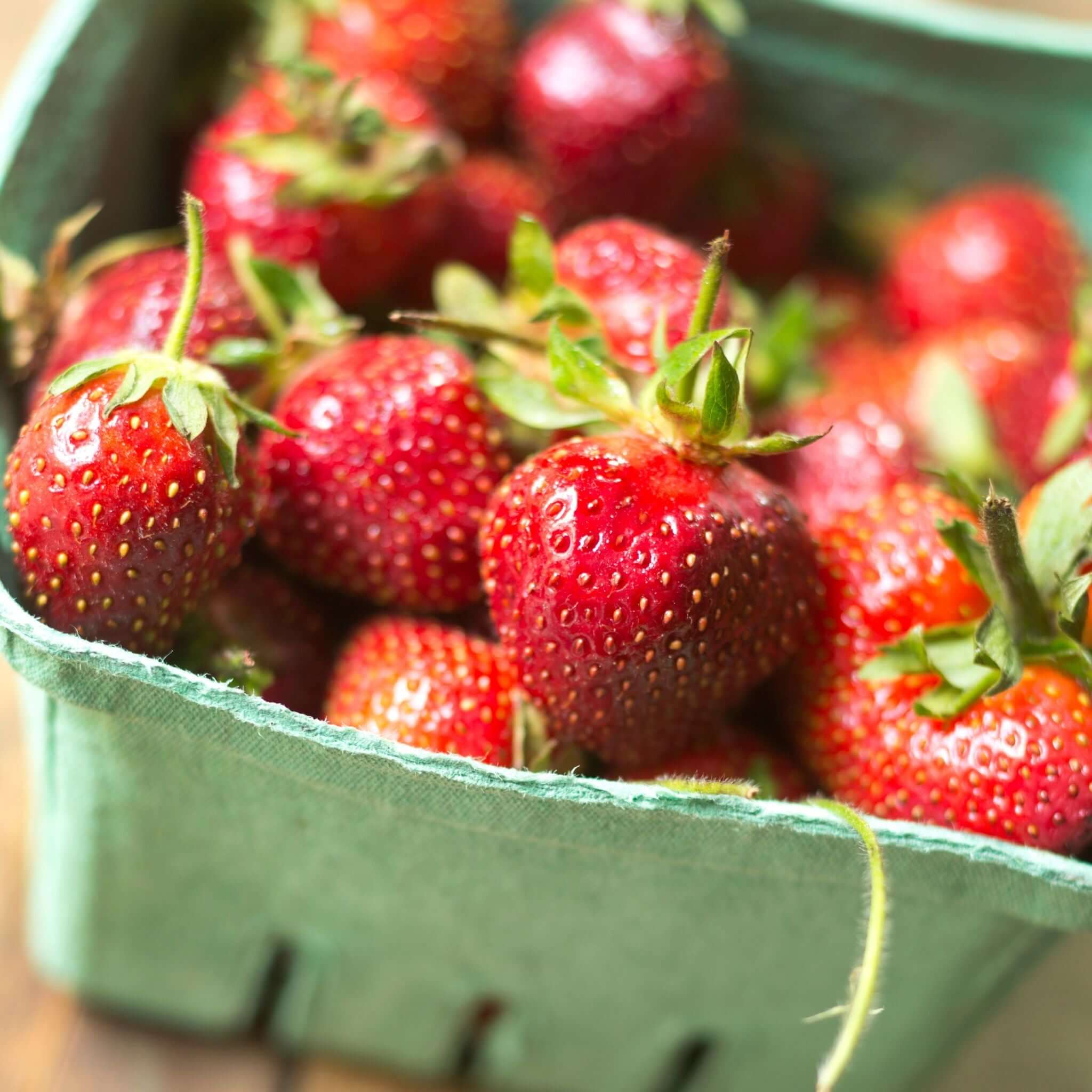 Nature Zen Organic Vegan Protein bars - Strawberry protein bar [New Recipe] Strawberries
