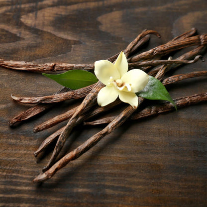 Nature Zen Origin - Organic Rice Protein Powder - Tahitian Vanilla (vanilla flower)